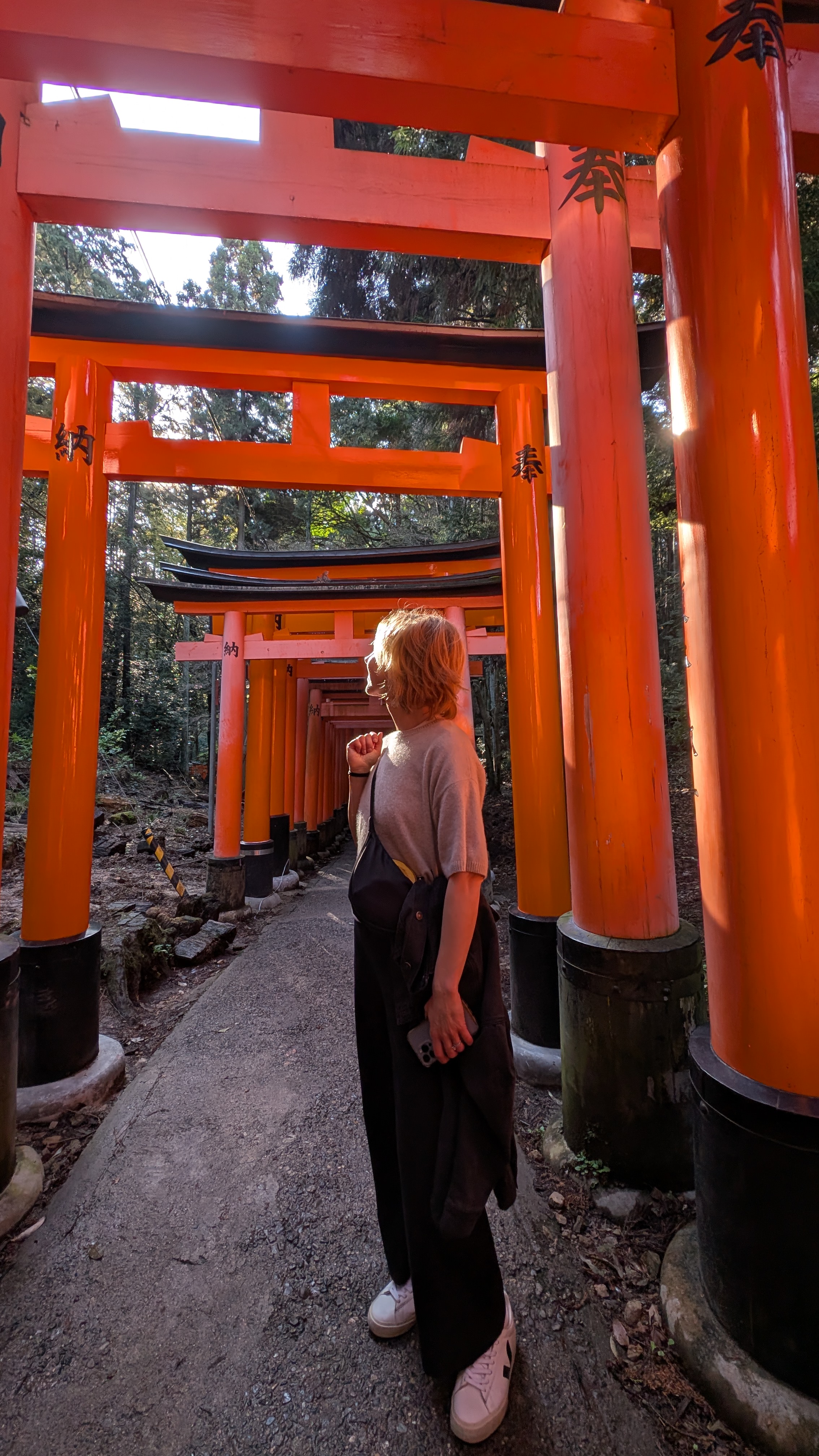 The torii gates of Fushimi Inari — go at 7 AM and you'll have them nearly to yourself