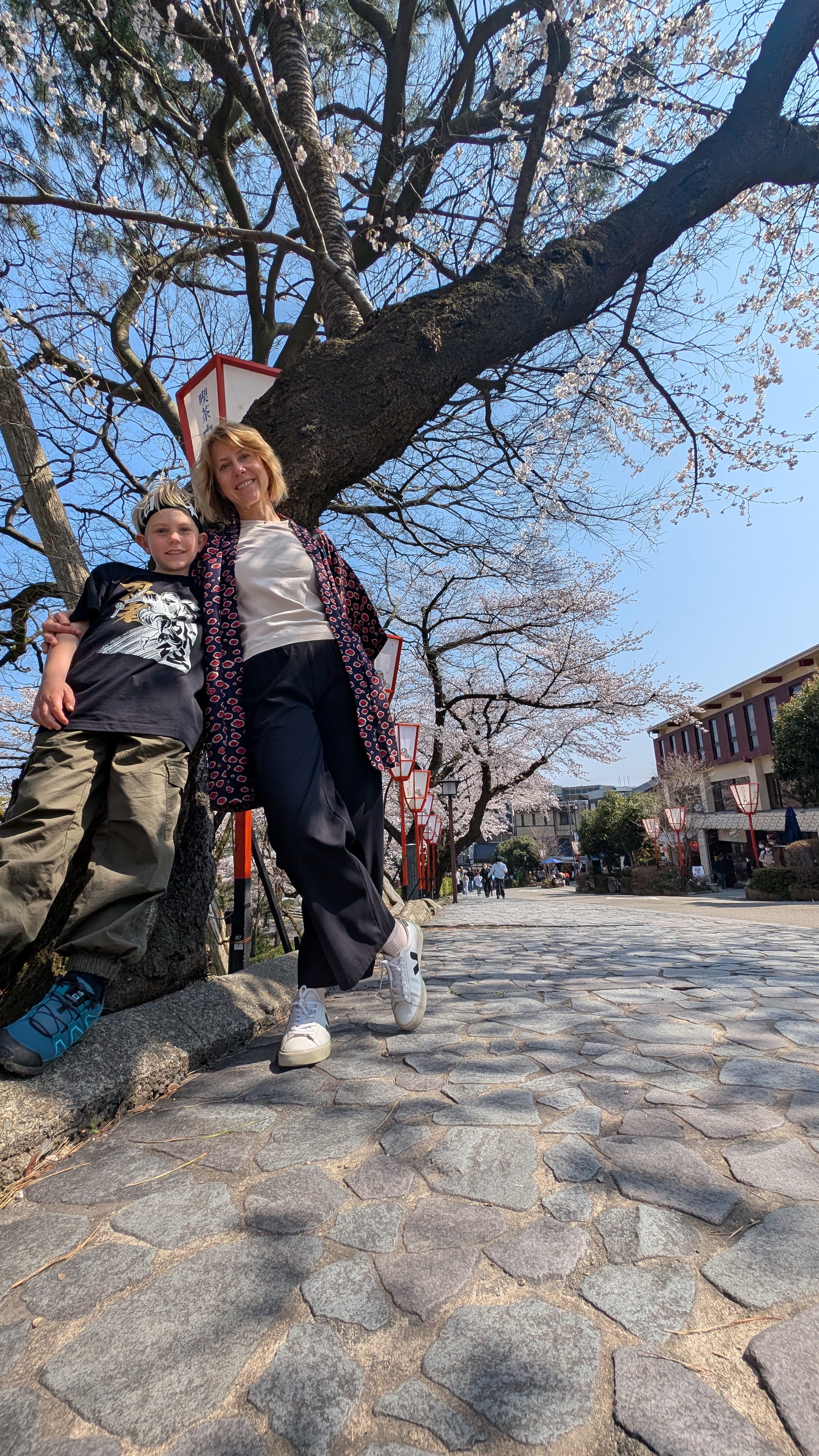 Cherry blossoms in Kanazawa — they bloom later here, so you get a second chance